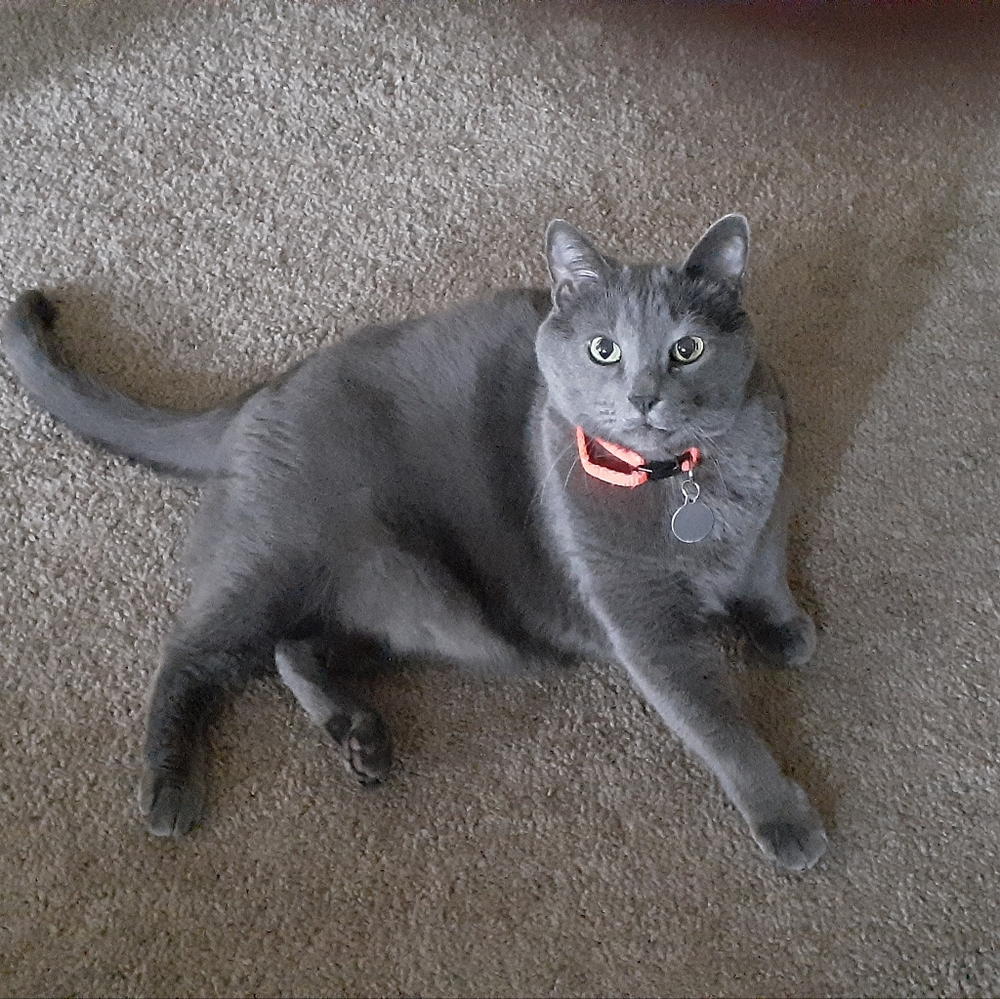 Meet your Posher, Panna